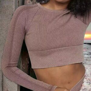 Aerie Ribbed Mauve Crop Top
